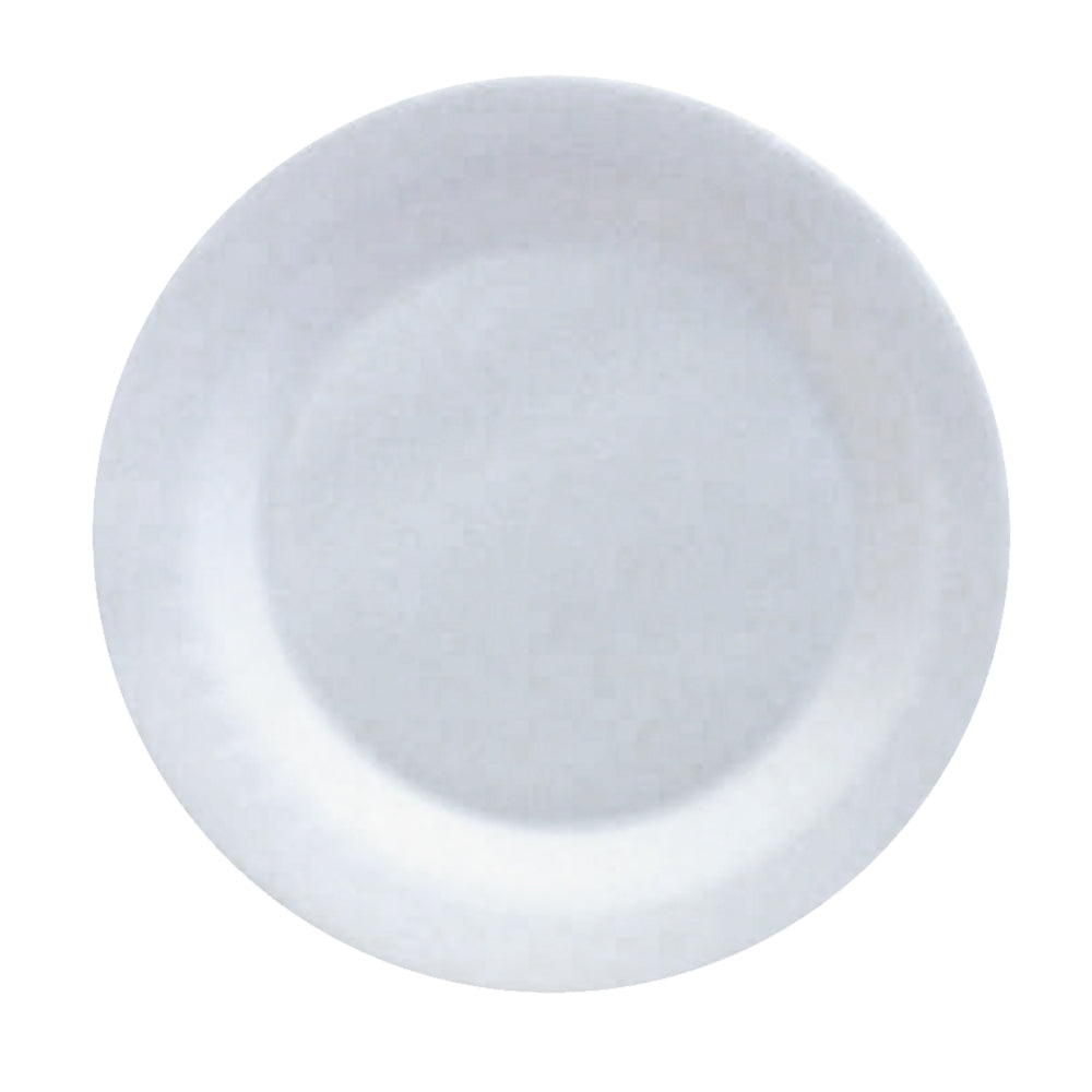 Foam Picnic Plates - White