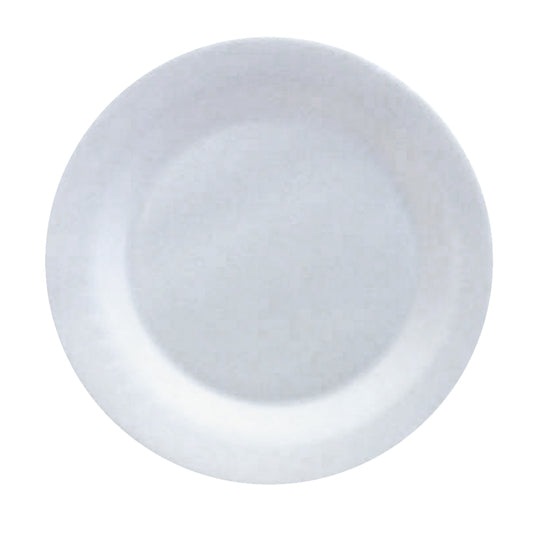 Foam Picnic Plates - White